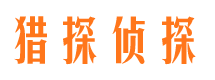 大丰市场调查